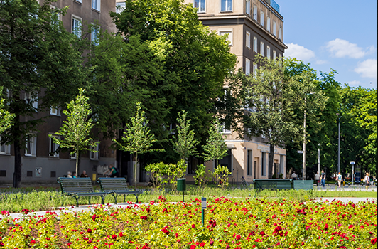 Spacer Drogą Królewską